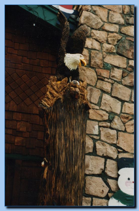 2-29 eagle with wings up, attached-archive-0001